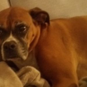 Meet your Posher, Mia